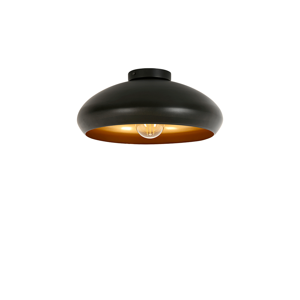 Back Ceiling Light