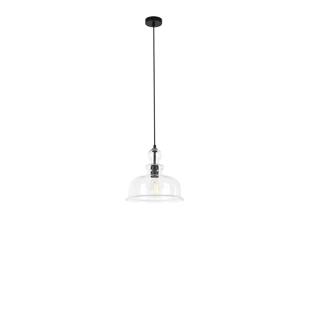 Black and Glass Pendant Light