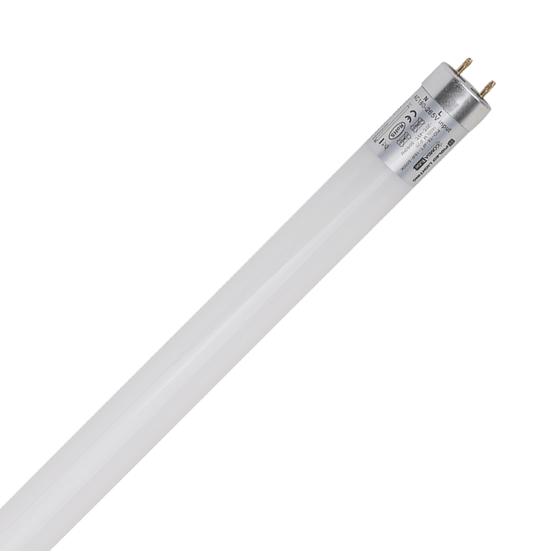 T8 10W 2FT Daylight Single Ended LED Tube