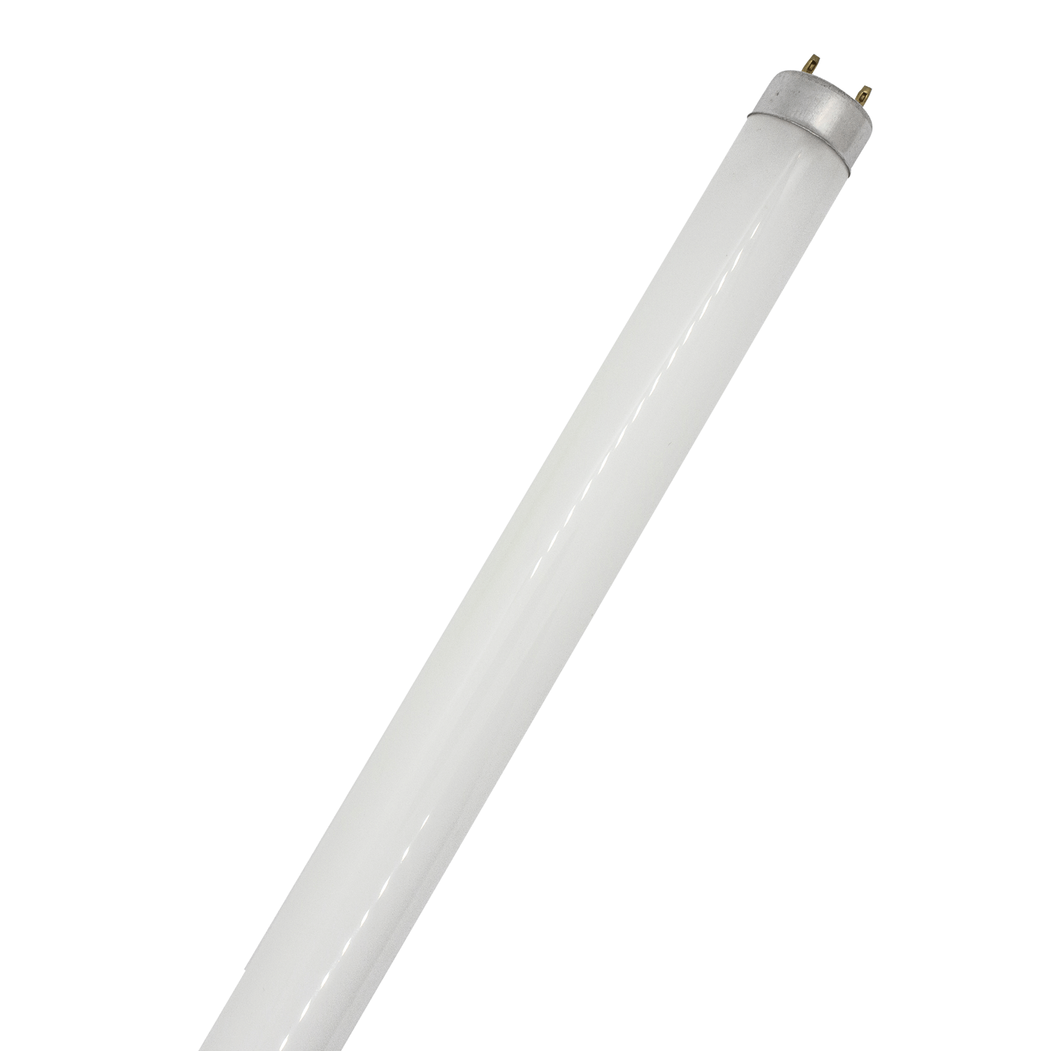 T8 FL 15W 2FT Black Light White Fluorescent Tube