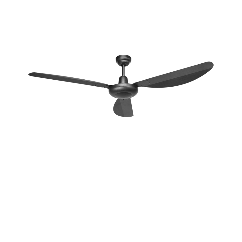 Black Ceiling Fan