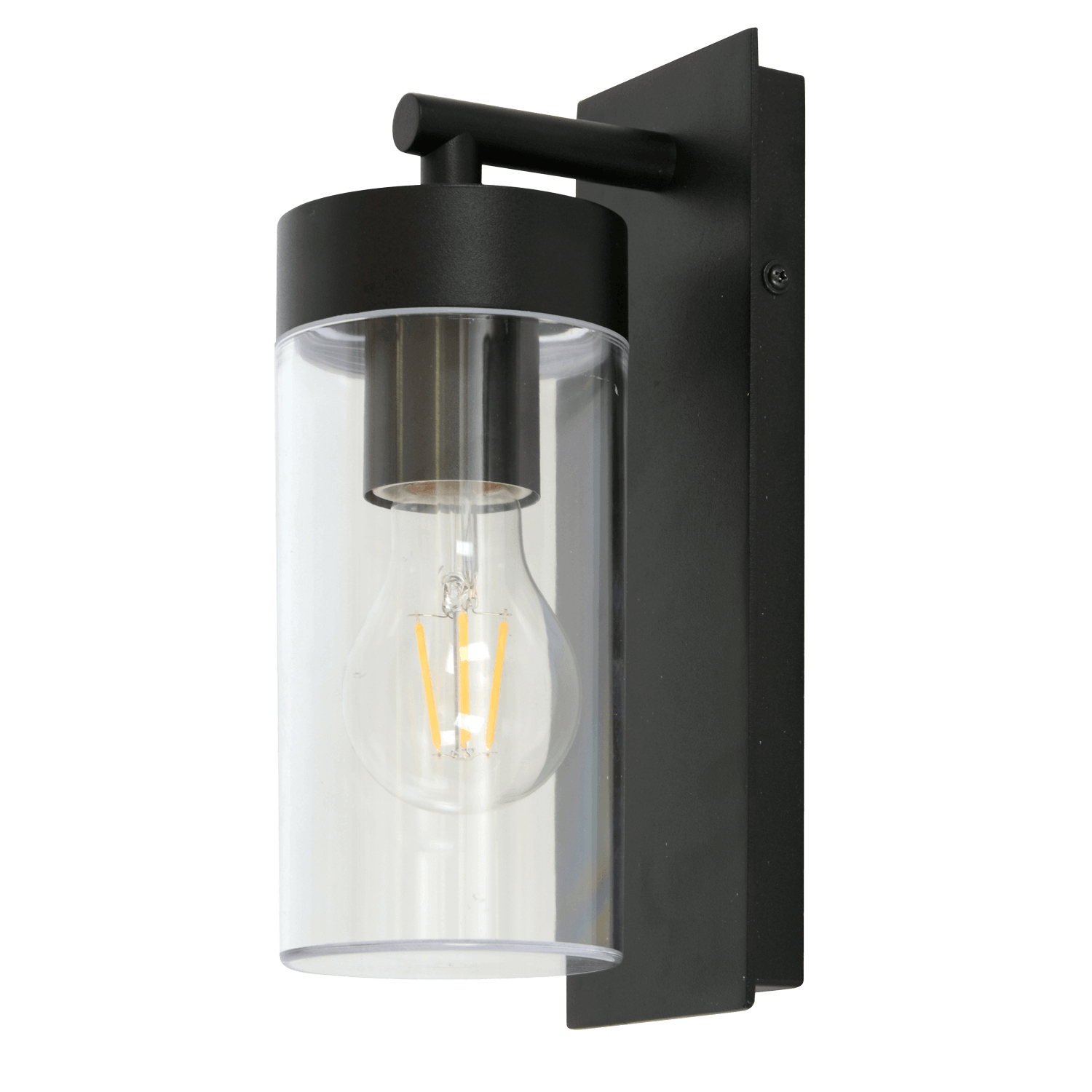 Aruba Black Outdoor Wall Light with Clear Plastic