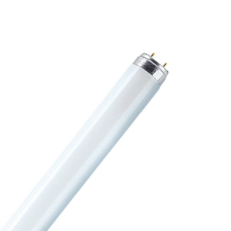 T8 36W 4FT Daylight Fluorescent Tube