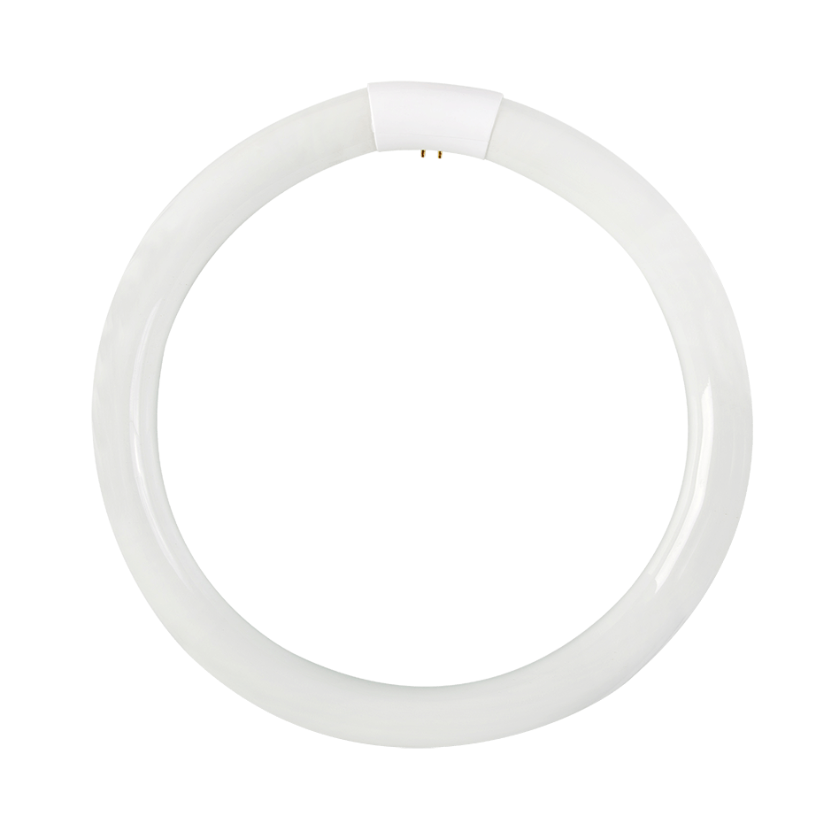 T9 32W Cool White Circular Fluorescent