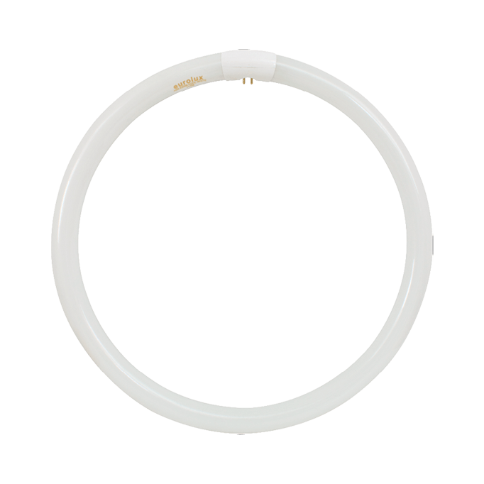 T9 40W Cool White Circular Fluorescent